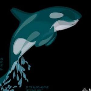 Meet your Posher, Charlotte